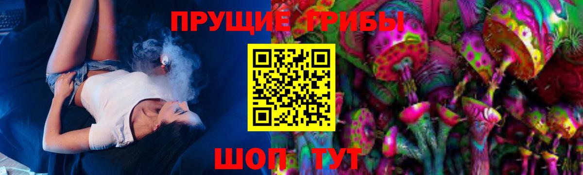 Псилоцибиновые грибы Cubensis  Вход с VPN  Кубинка 