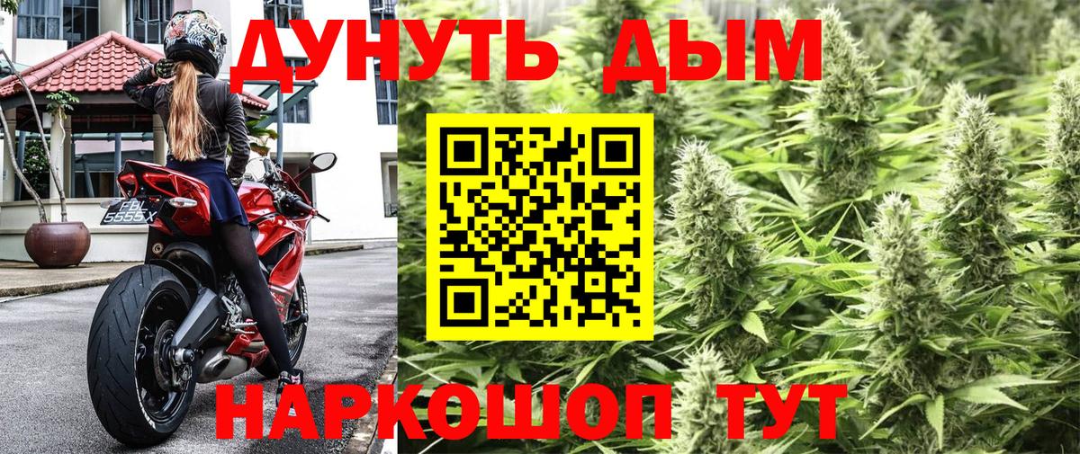 Кубинка  Шишки марихуана сатива  Вход с VPN  Каннабис Amnesia  Бошки марихуана SATIVA & INDICA  Конопля семена 